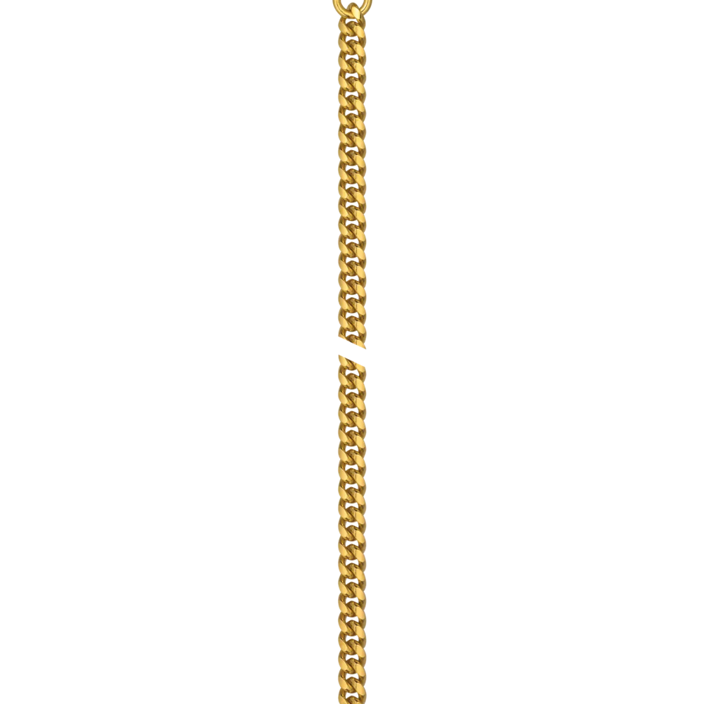 Tissot Savonnette 48.5mm