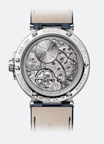 Marine Tourbillon Équation Marchante 5887 - 5887PT/Y2/9WV